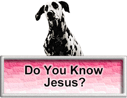 dogdoyouknowjesus.gif